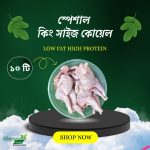 কিং সাইজ কোয়েল ১০টা (৮০০ গ্রাম+/-)